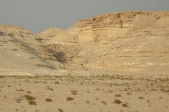 لماذا يجب ألا تفوت زيارة صحراء الصخير في البحرين؟